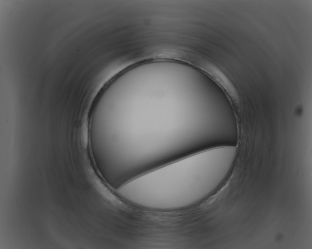X0000096701036200802051056