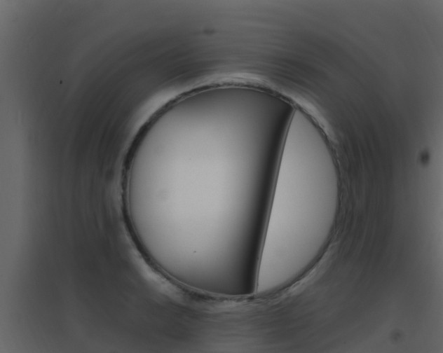 X0000096701038200802051056
