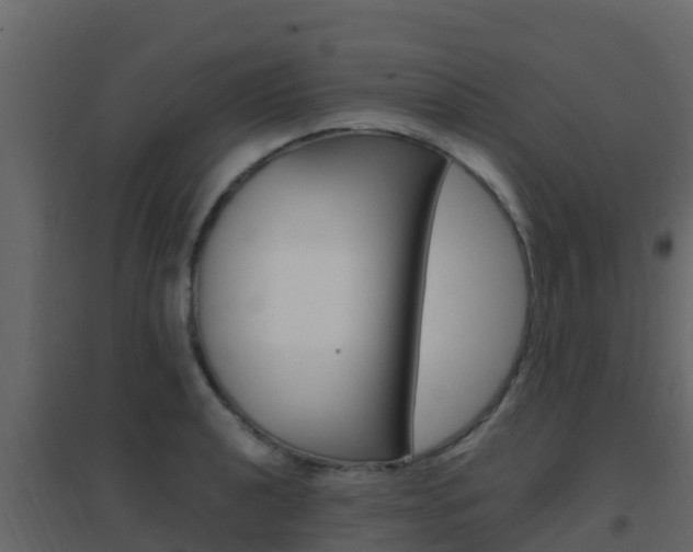 X0000096701040200802051056