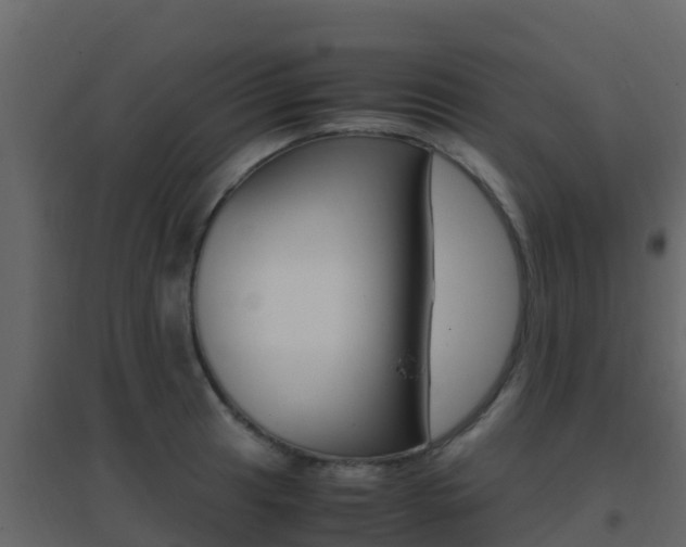 X0000096701041200802051056