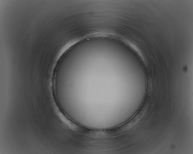 X0000096701042200802051056