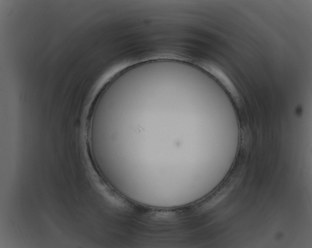 X0000096701043200802051056