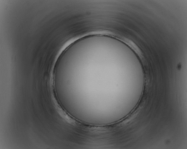 X0000096701044200802051056
