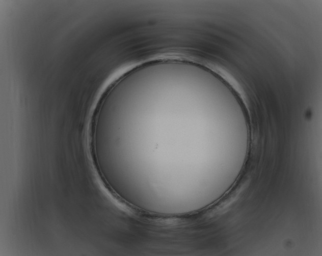 X0000096701045200802051056