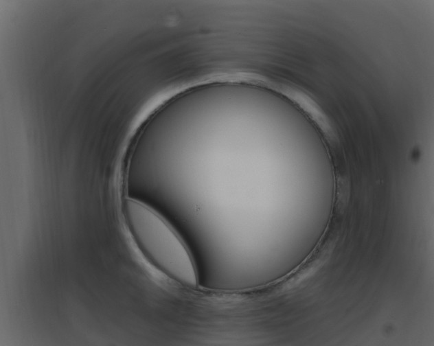 X0000096701046200802051056