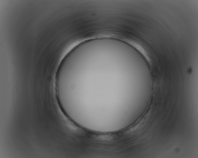 X0000096701047200802051056
