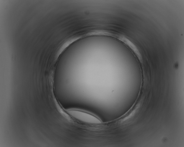 X0000096701049200802051057