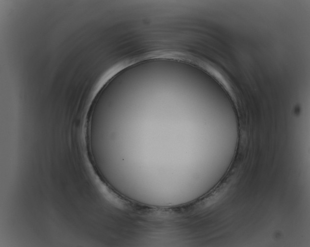 X0000096701050200802051057