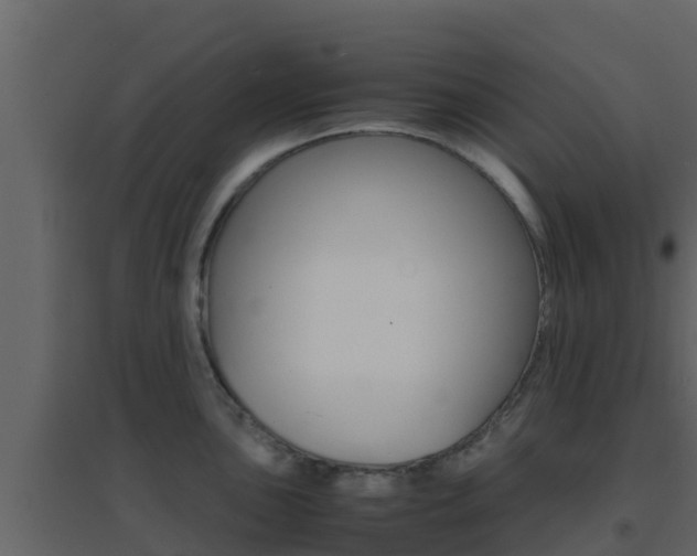 X0000096701051200802051057
