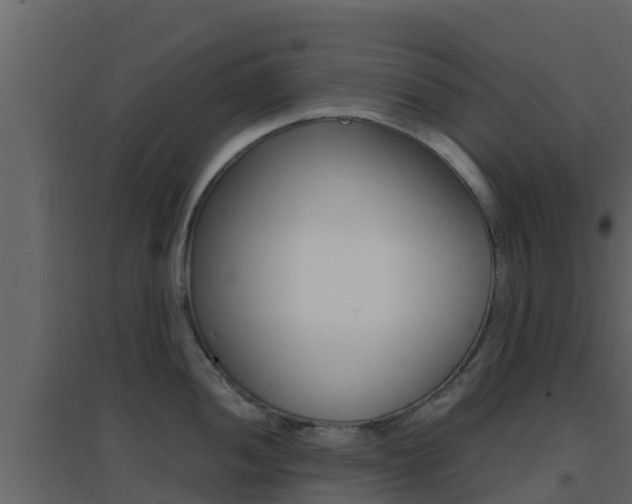 X0000096701052200802051057