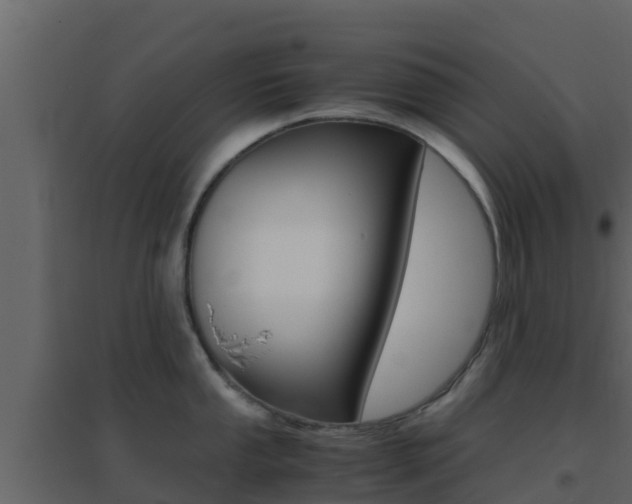 X0000096701053200802051057