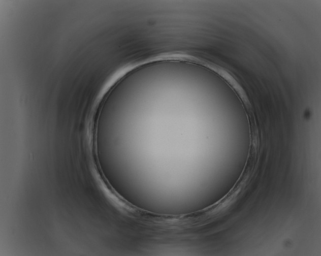 X0000096701054200802051057