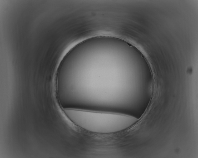 X0000096701056200802051057
