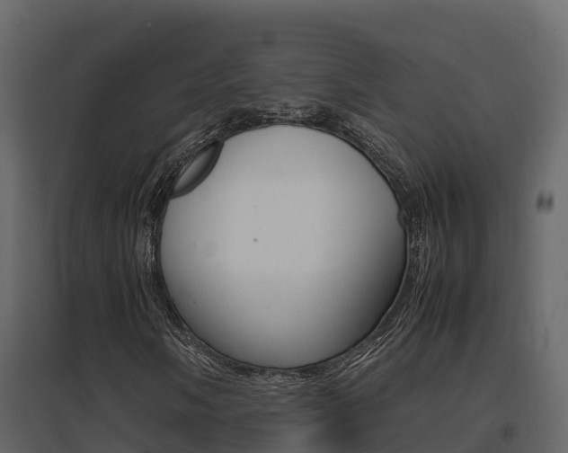 X0000096701058200802051056