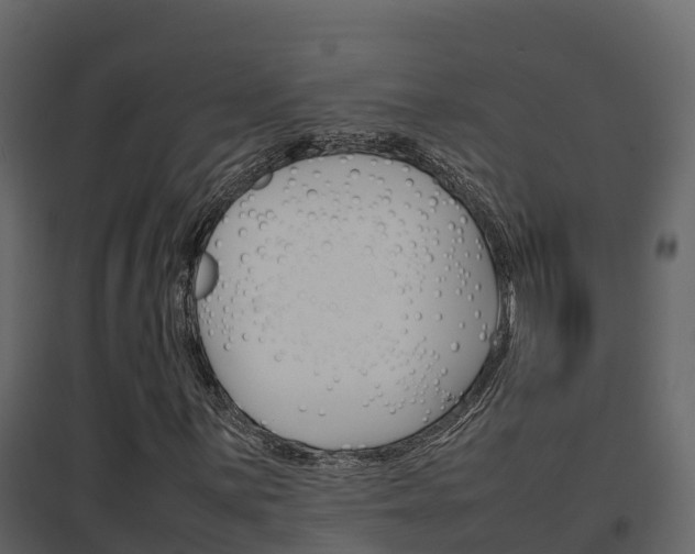 X0000096701059200802051056