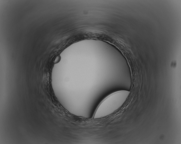 X0000096701061200802051056