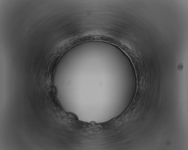 X0000096701062200802051056