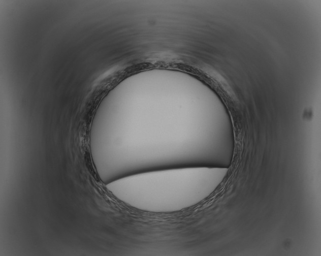 X0000096701063200802051056