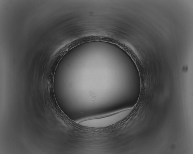 X0000096701064200802051056
