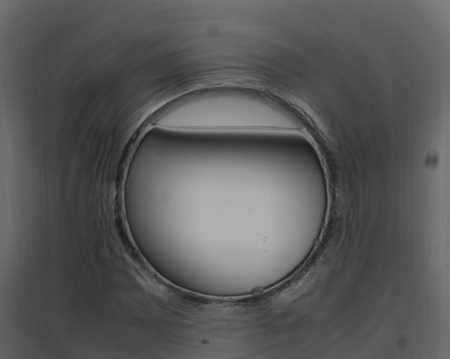 X0000096701065200802051056