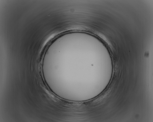 X0000096701067200802051056