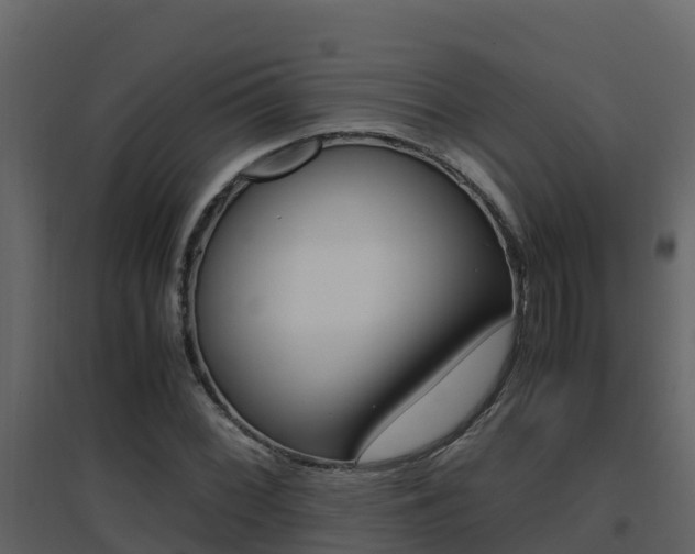 X0000096701068200802051056