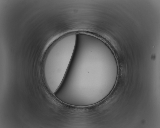 X0000096701069200802051056