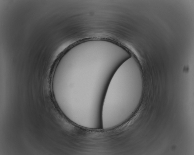 X0000096701071200802051056