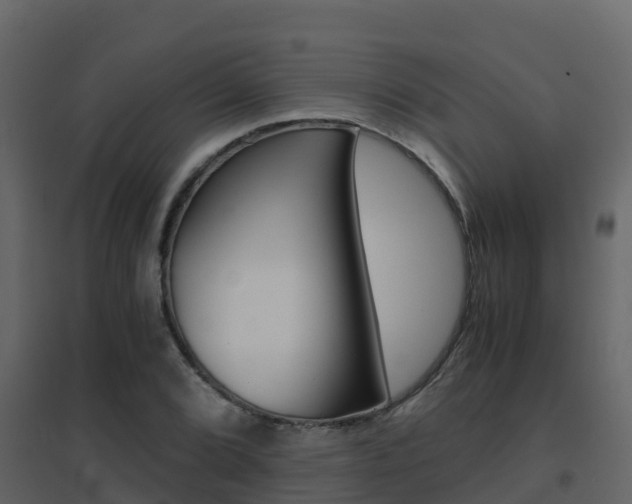 X0000096701072200802051056