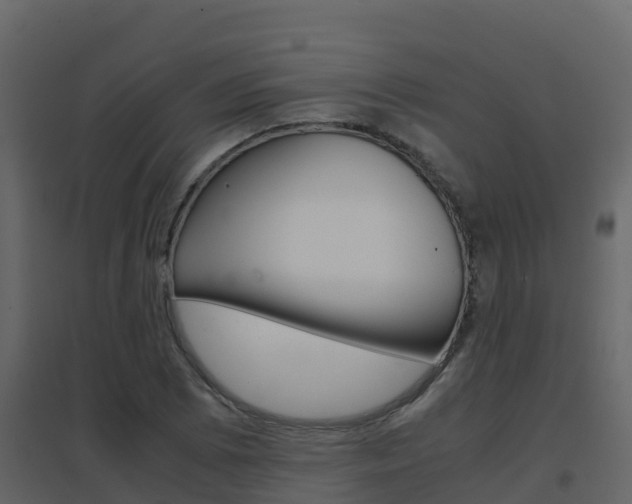 X0000096701073200802051056