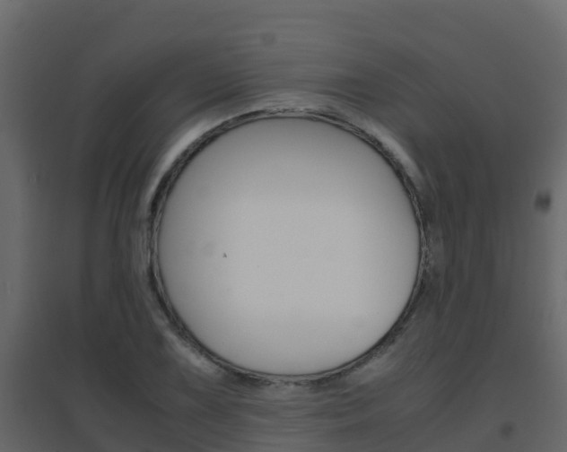 X0000096701075200802051056