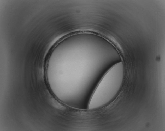 X0000096701076200802051056