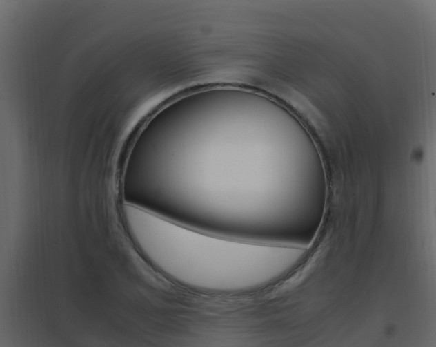 X0000096701077200802051056