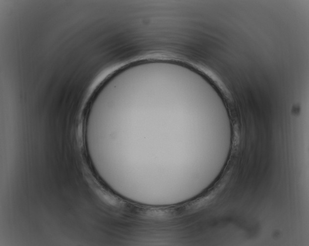 X0000096701078200802051056