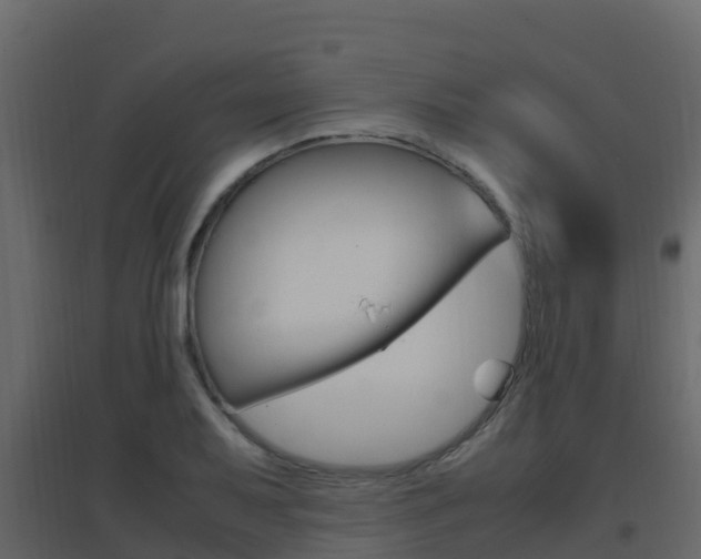 X0000096701079200802051056