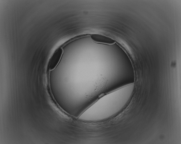 X0000096701080200802051056