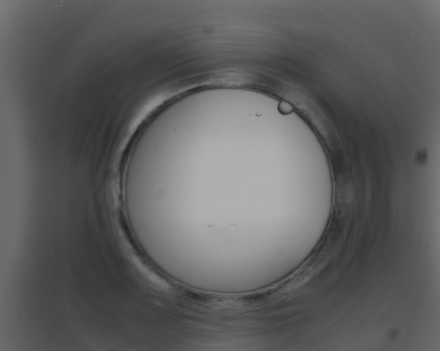 X0000096701083200802051056