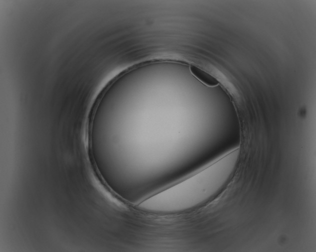 X0000096701084200802051056