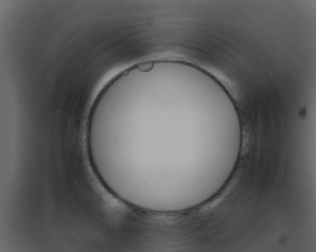 X0000096701086200802051056