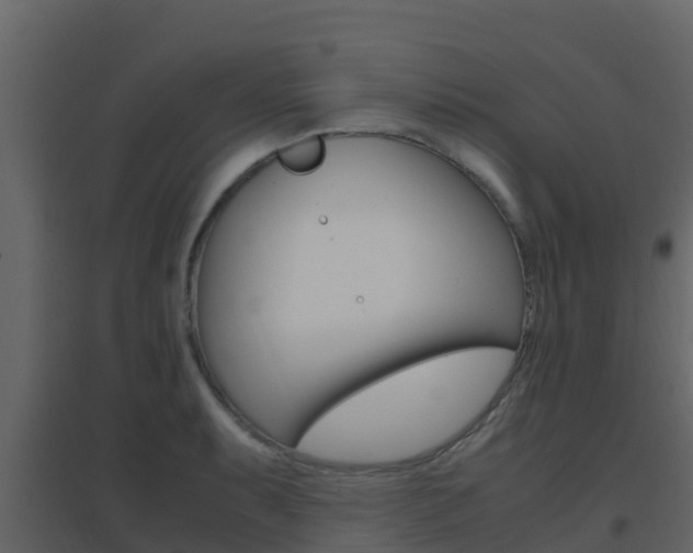 X0000096701087200802051056