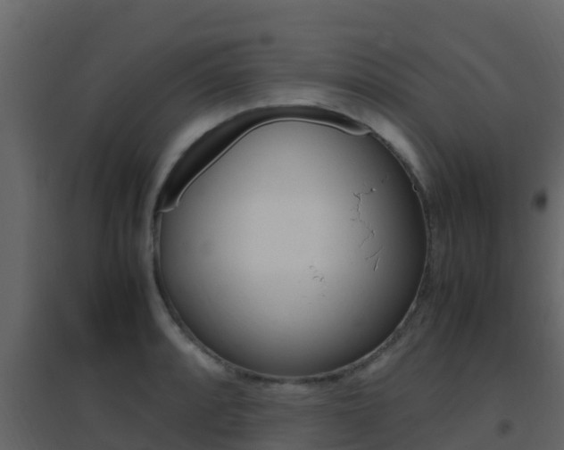 X0000096701088200802051055