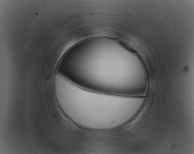 X0000096701089200802051055
