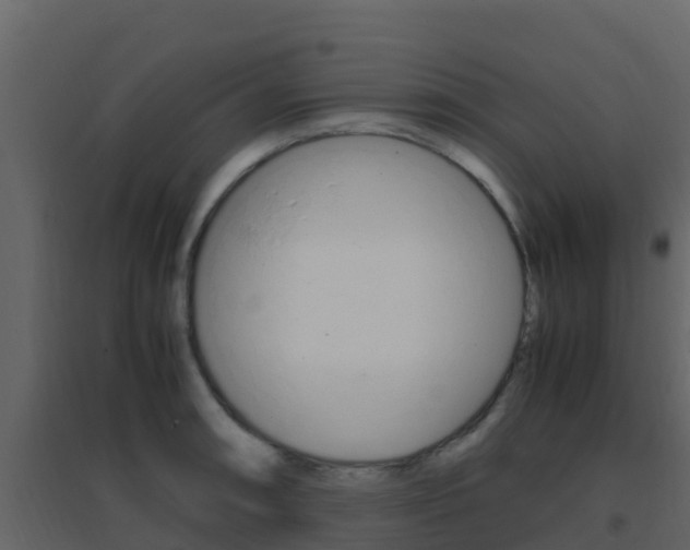 X0000096701090200802051055
