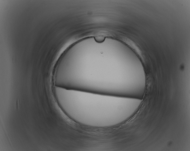 X0000096701091200802051055