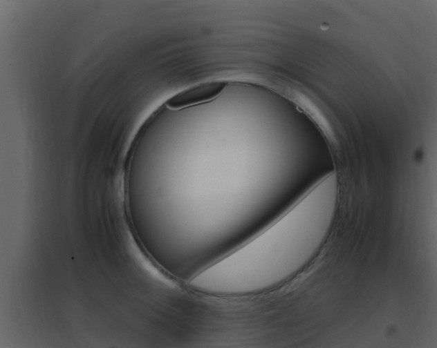 X0000096701092200802051055