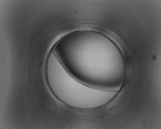 X0000096701093200802051055