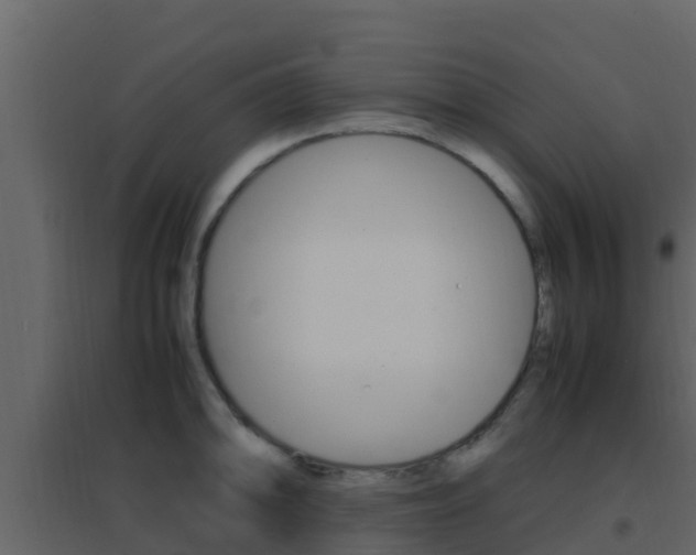 X0000096701094200802051055