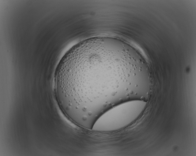 X0000096701095200802051055