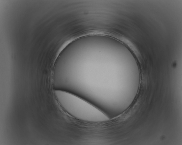 X0000096701097200802051055