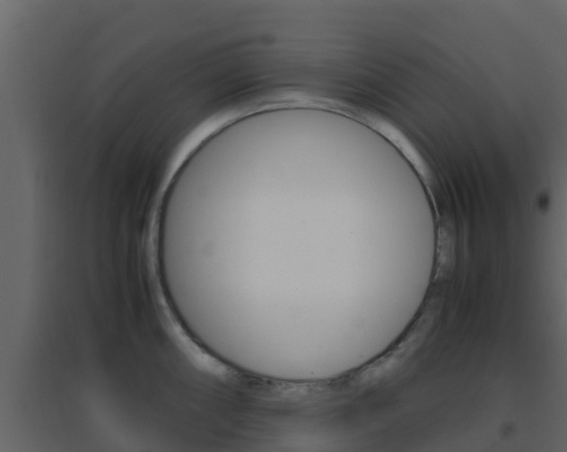 X0000096701098200802051055